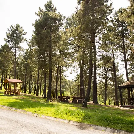 May Villas Villa